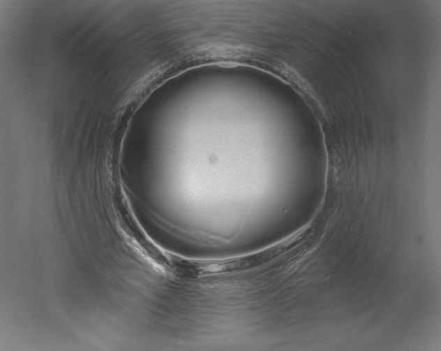 X0000051920581200507011602