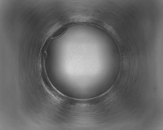 X0000051920582200507011602