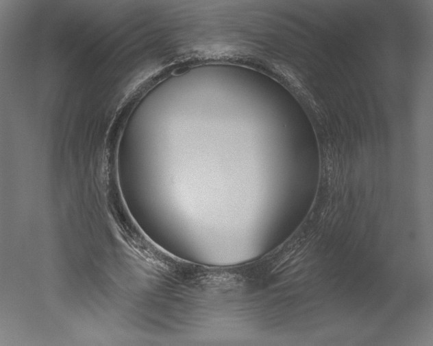 X0000051920583200507011602