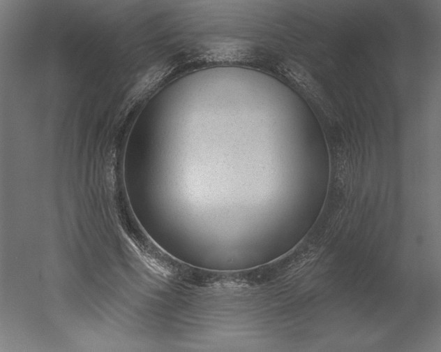 X0000051920586200507011602