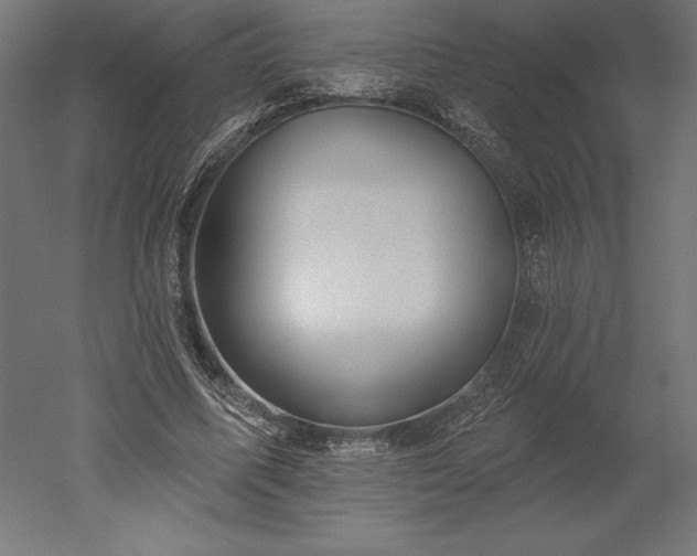 X0000051920587200507011602