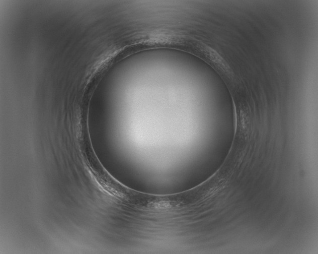 X0000051920588200507011602
