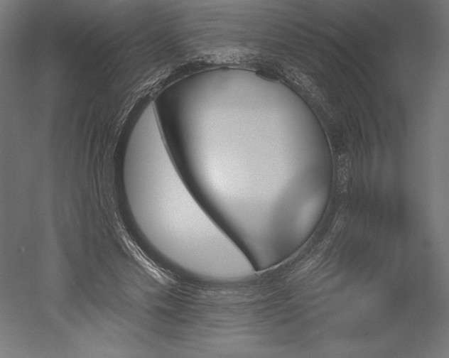 X0000051920589200507011602