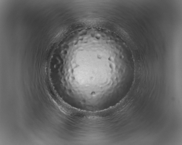 X0000051920590200507011602