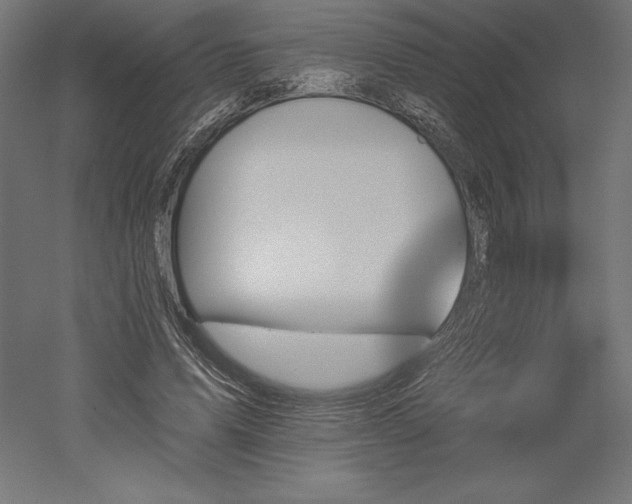 X0000051920591200507011602