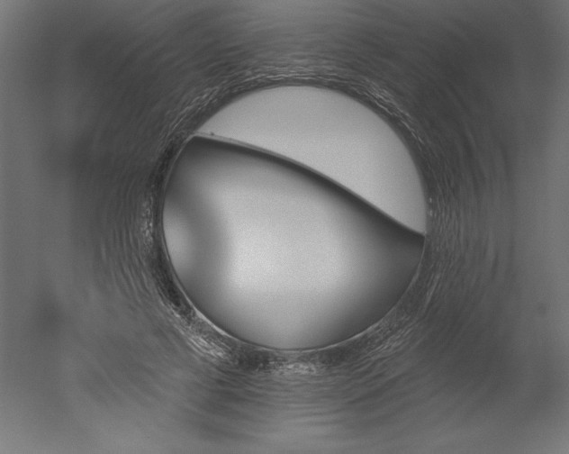 X0000051920593200507011602