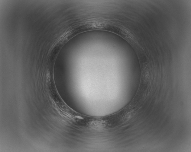 X0000051920595200507011602