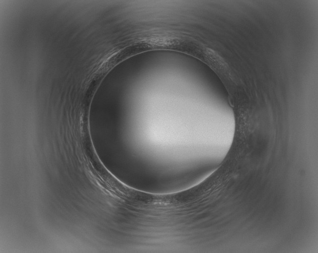 X0000051920596200507011602