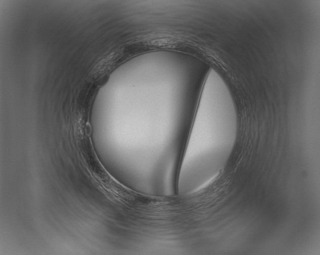 X0000051920597200507011602