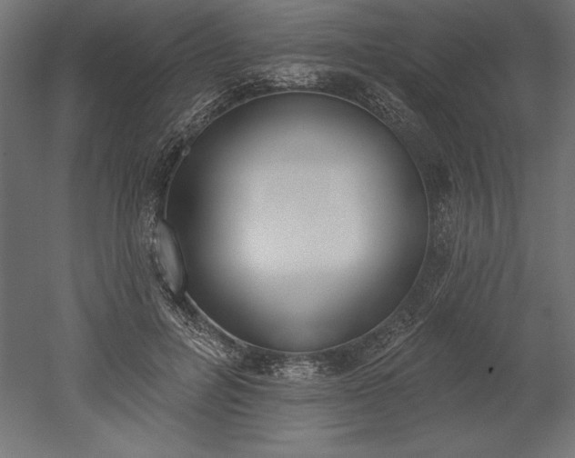 X0000051920600200507011602