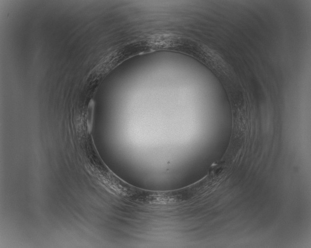 X0000051920601200507011602
