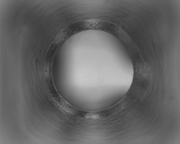 X0000051920602200507011602