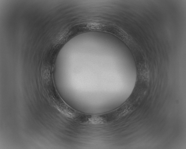 X0000051920603200507011602