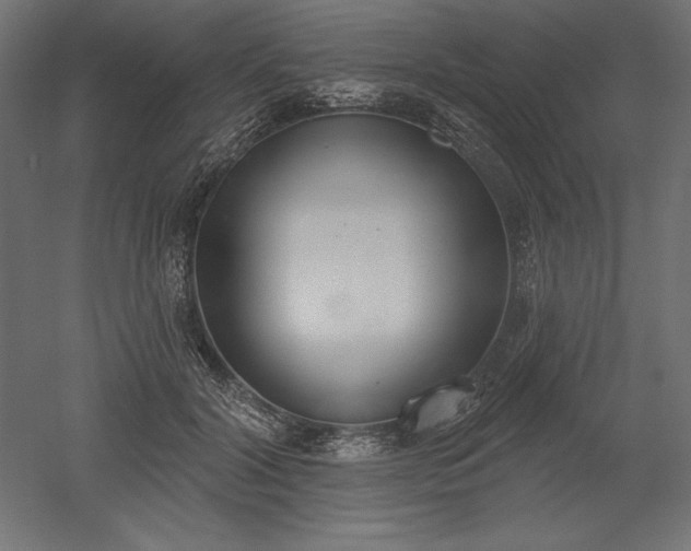 X0000051920604200507011602