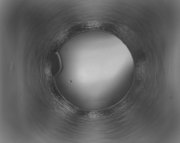 X0000051920608200507011601
