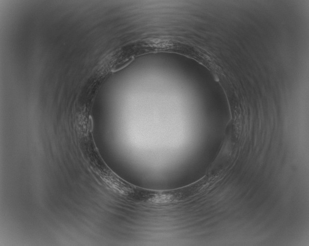 X0000051920609200507011601