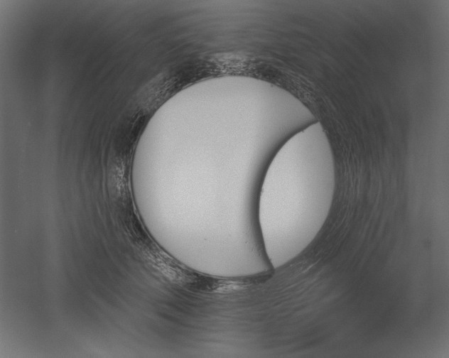 X0000051920610200507011601