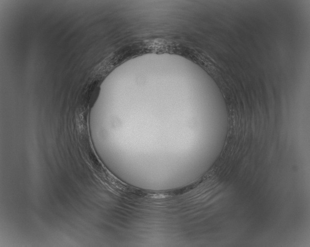 X0000051920611200507011601