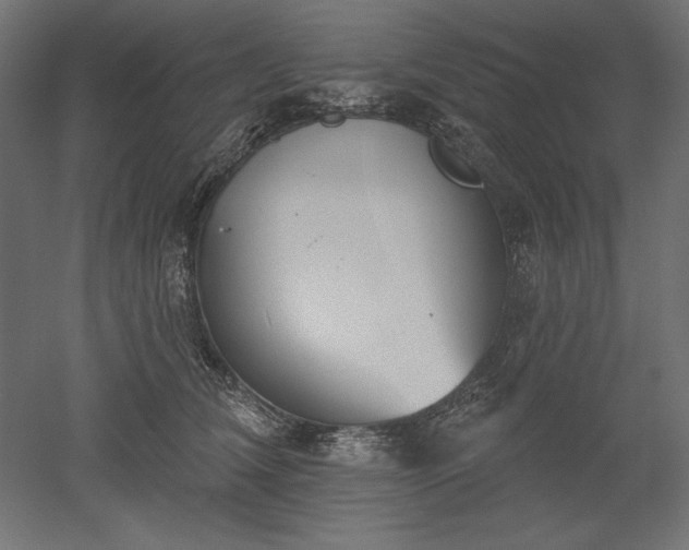 X0000051920612200507011601