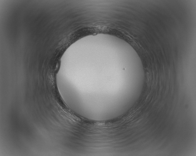 X0000051920613200507011601