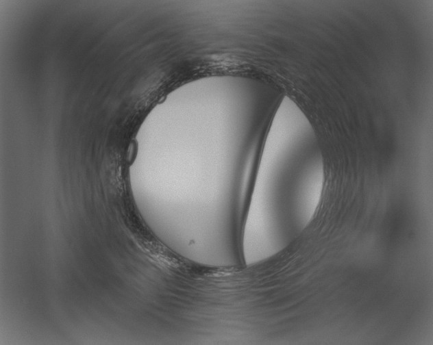 X0000051920615200507011601