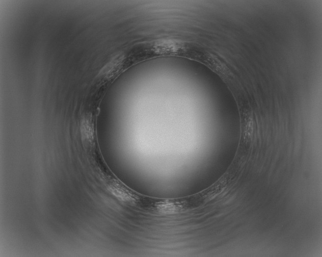 X0000051920616200507011601