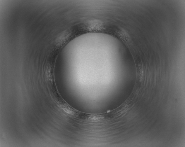 X0000051920619200507011601
