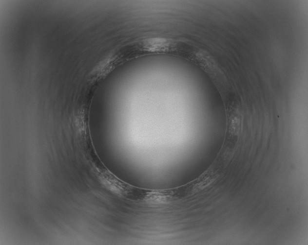 X0000051920620200507011601