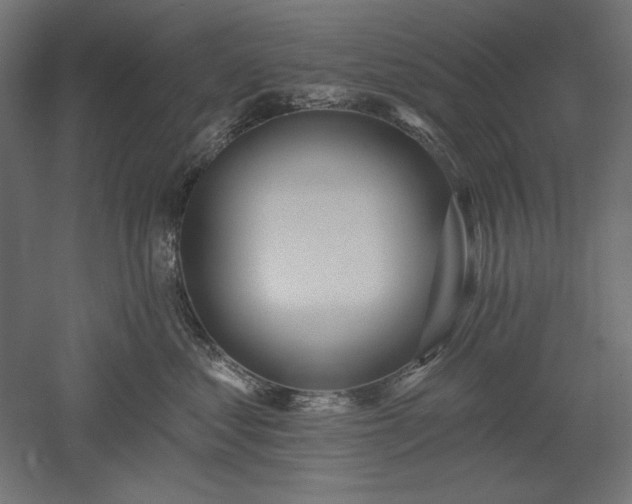 X0000051920621200507011601