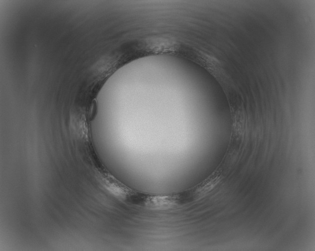 X0000051920622200507011601