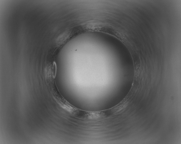 X0000051920623200507011601