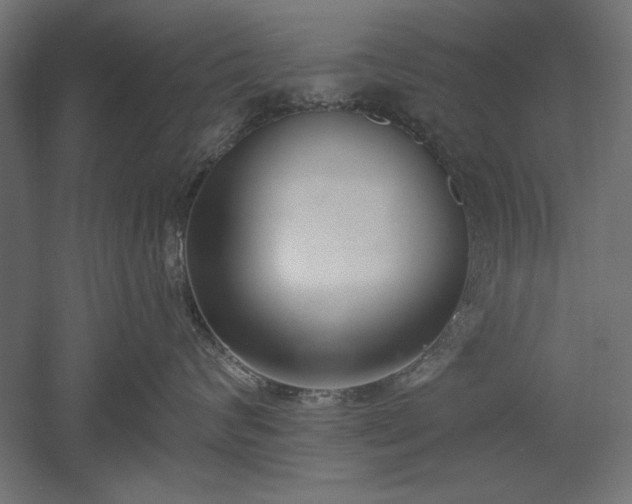 X0000051920624200507011601