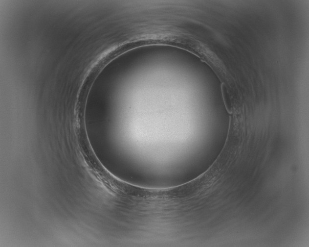 X0000051920628200507011600