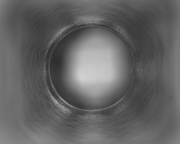 X0000051920629200507011600