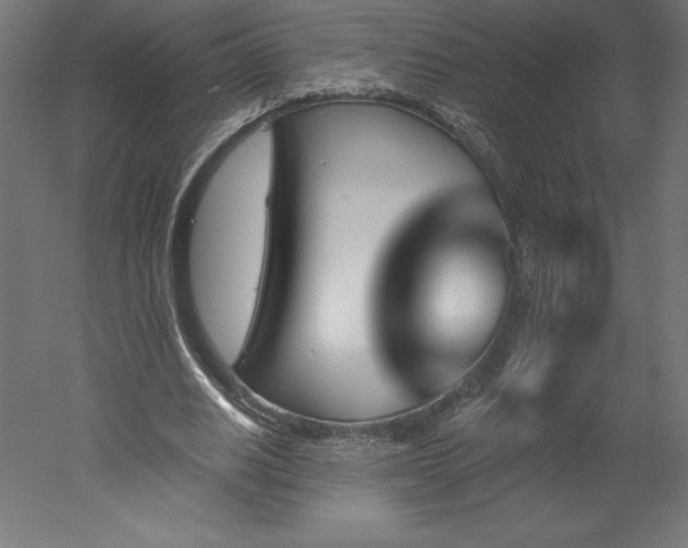 X0000051920630200507011600