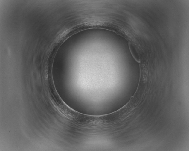 X0000051920631200507011600