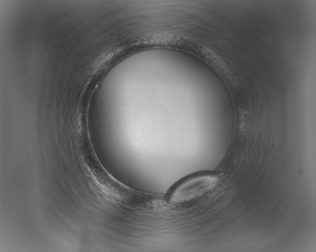 X0000051920636200507011601