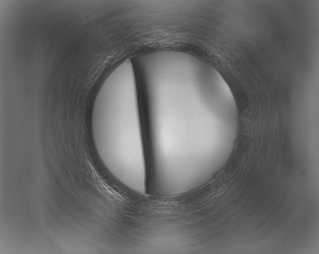X0000051920642200507011601