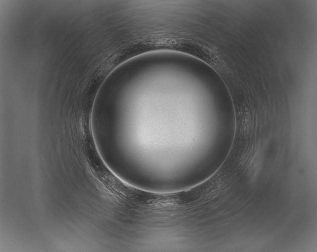 X0000051920643200507011601