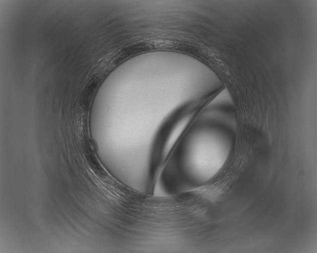 X0000051920645200507011601