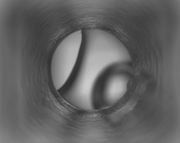 X0000051920646200507011601