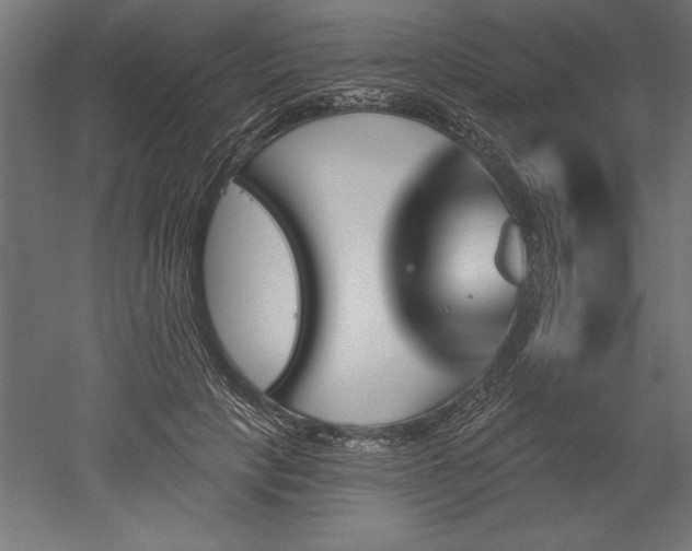X0000051920649200507011601