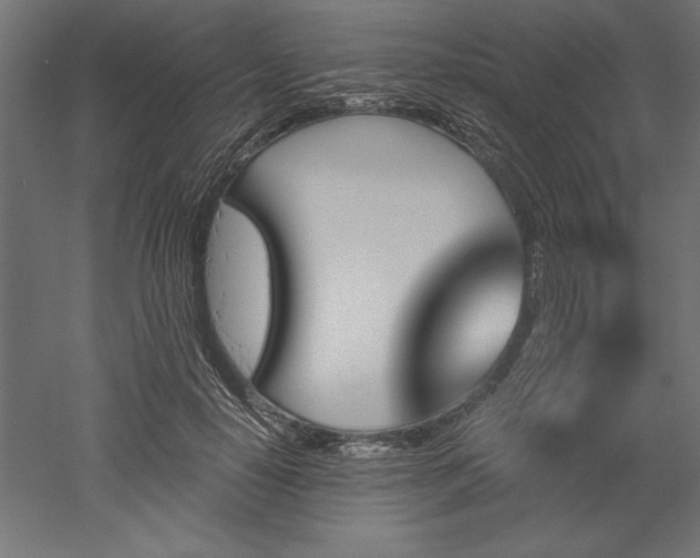 X0000051920650200507011601