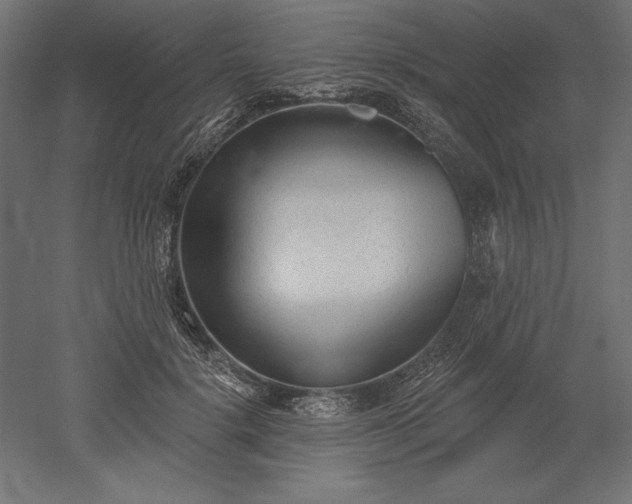 X0000051920652200507011601