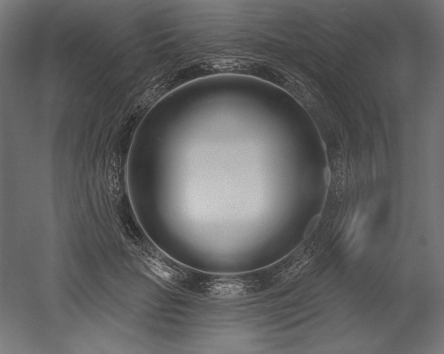 X0000051920653200507011601