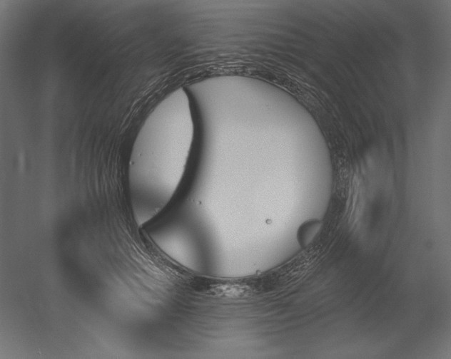 X0000051920654200507011601