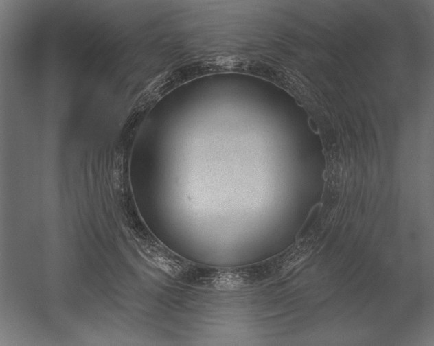X0000051920656200507011601