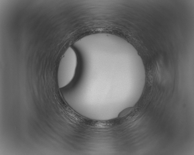 X0000051920657200507011601
