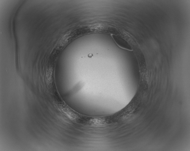 X0000051920660200507011601