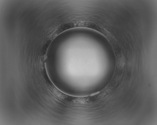 X0000051920661200507011601